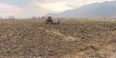 Kırsal arazilere buğday eken Elbistan Belediyesi ekmeği 1 liraya satıyor