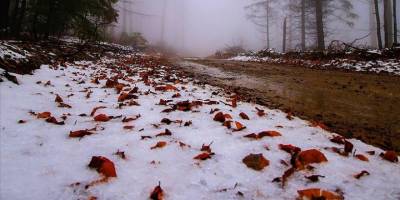 Kazdağları'nın yüksek kesimleri kar yağışıyla beyaza büründü