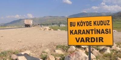 Kars'ta bir köy kuduz nedeniyle karantinaya alındı