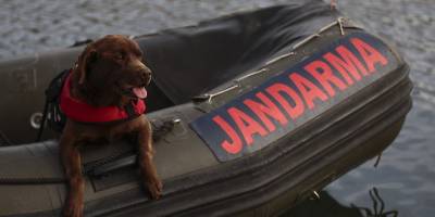Jandarmanın su altı arama köpekleri, derindeki kayıp cesetlerin yerini tespit ediyor