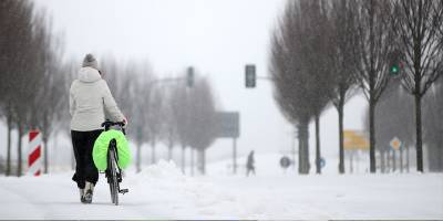 Almanya şiddetli kar yağışıyla mücadele ediyor