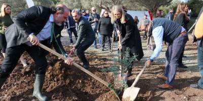 İzmir'de kadın girişimiyle kuraklığa dayanıklı sakız fidanları dikildi
