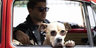 'Dikkat Köpek Var' 30 Aralık'ta vizyona girecek