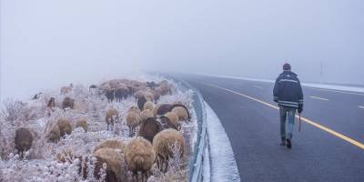 Kars'ta göçerlerin yayladan kar ve sis arasında zorlu dönüş yolculuğu başladı
