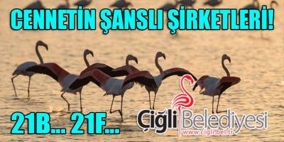 İşte kuruluşlarının ardından Çiğli belediyesinden 21B ve 21F'ten ihale alan şirketler!