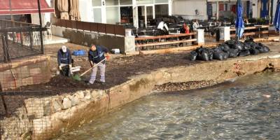 Bodrum'da rüzgar nedeniyle sahile sürüklenen yosunlar temizlendi