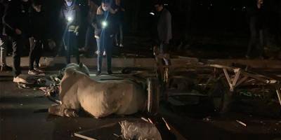 Otomobilin çarptığı at arabasının sürücüsü öldü, at yaralandı