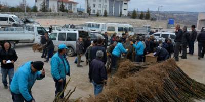 Demirci'de çiftçilere 240 arı kovanı ve 16 bin 220 adet meyve fidanı dağıtıldı