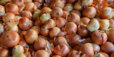 TZOB Başkanı: Üreticide en fazla fiyat artışı yüzde 603 ile kuru soğanda görüldü