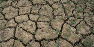 Yağışlar yüzde 40,6 azaldı, Marmara ve İç Ege'de kuraklık kritik seviyelere geldi