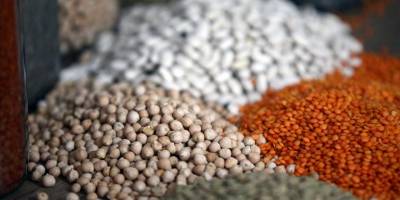 Hububat ve bakliyat ihracatı 11,5 milyar dolara ulaştı