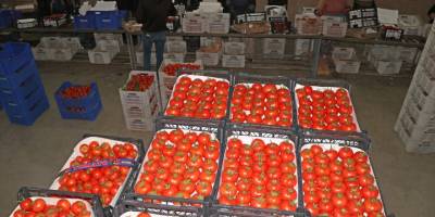 Muğla'dan 2022'de 60 bin ton domates ihraç edildi