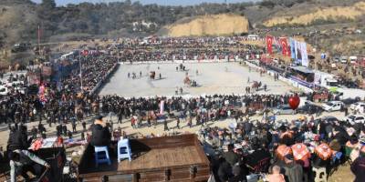 Germencik'te 74. Geleneksel Deve Güreşi Festivali yapıldı