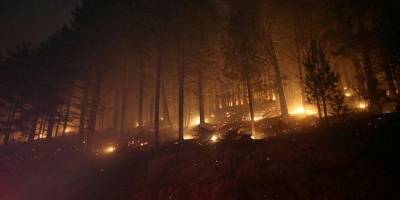 Kaz Dağları’nda yangın çıktı