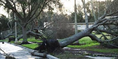 Fransa'da kasırga nedeniyle 23 bölgede turuncu alarm verildi