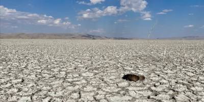 Fed ABD'nin 6 büyük bankasından iklim riski analizi istedi