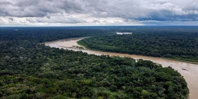 Amazonlar'da 2022’de günde 3 bin futbol sahası büyüklüğünde orman yok oldu