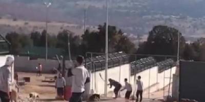 Konya'da barınakta köpeği eziyet ederek öldüren sanıklara 1 yıl 3'er ay hapis cezası