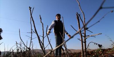 Güneydoğu'daki kuraklık üreticileri endişelendiriyor