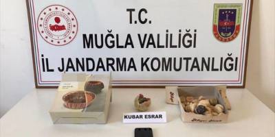 Muğla'da kargoyla gönderilen kuru pasta içine zulalanmış uyuşturucu ele geçirildi