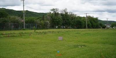 Kanada'da 66 yeni potansiyel çocuk mezarı daha tespit edildi