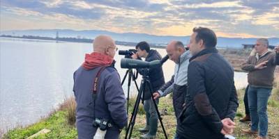 Hersek Lagünü'nde 2023 kuş sayımı yapıldı