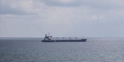 Ukrayna, tahıl girişimini Mıkolayiv limanlarına kadar genişletmek istiyor