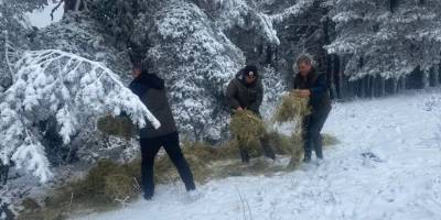 Kütahya'da yaban hayvanları için doğaya yem bırakıldı