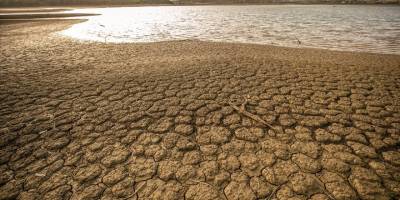 Son 50 yılda dünyadaki sulak alanların yüzde 35'i yok oldu