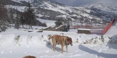 Bozdağ'da kar kalınlığı 50 santimetreye ulaştı