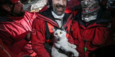 Hatay'da 116 saat sonra kadının kurtarıldığı enkazdan bir de kedi canlı olarak çıkarıldı