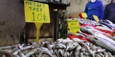 Hamsi yerini mezgide bıraktı