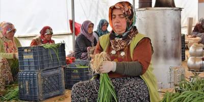 Havaların mevsim normalinin üzerinde seyretmesi kışlık sebzelere talebi azalttı