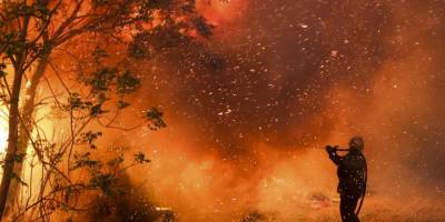 Arjantin'de orman yangınlarında 3 bin hektarlık alan kül oldu