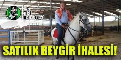 İYİ Partili belediyeden satılık beygirler! Arsa değil beygir satıyor