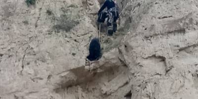 Denizli'de kayalıklarda mahsur kalan keçiyi itfaiye ekibi kurtardı