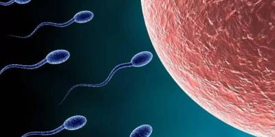 Uzmanlara göre artık her 6 çiftten 1'inin çocuğu olmuyor: 'Dünyada üreme hücresi sayısı azalıyor'