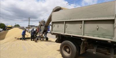 Tahıl krizinin yaşandığı Tunus’a ABD’den 25 bin ton buğday desteği