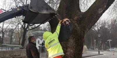Bakan Pakdemirli’den TBMM bahçesine düşen yıldırıma ilişkin açıklama