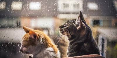 Meteoroloji'den 18 il için yağış uyarısı