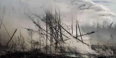 Kanada'nın Alberta eyaletinde orman yangınları nedeniyle olağanüstü hal ilan edildi