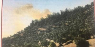 PKK'dan aldığı talimatla 2 yıl önce Bodrum'da orman yangını çıkaran zanlı tutuklandı