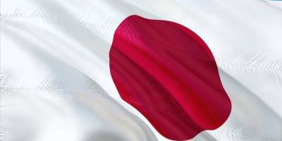 Japonya, Rusya ve Çin'in Asya'daki askeri işbirliğinden endişe duyuyor