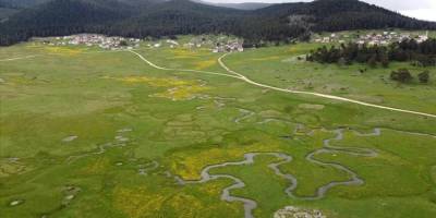 Sarıalan Yaylası, menderesler ve kır çiçeklerinin ahengiyle süslendi