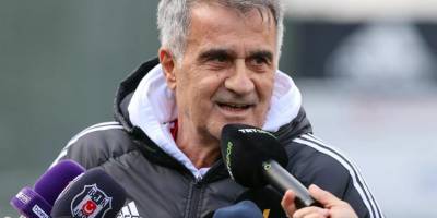 PFDK'den Beşiktaş Teknik Direktörü Şenol Güneş'e para cezası