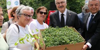 İzmir'de 312 bin sebze fidesi dağıtıldı