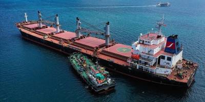 BM: Karadeniz Tahıl Girişimi kapsamında 1900 gemi denetlendi