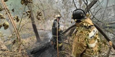 Kazakistan 60 bin hektarlık alanı aşan orman yangınıyla mücadele ediyor
