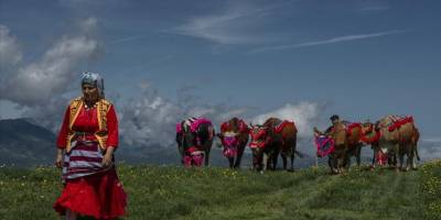 Karadeniz'de yaylacıların göç yolculuğu başladı