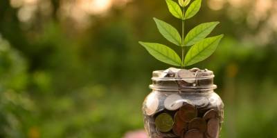 Ekonomi Reformları Eylem Planı, Hazine ve Maliye Bakanlığının internet sitesinden ilan edildi